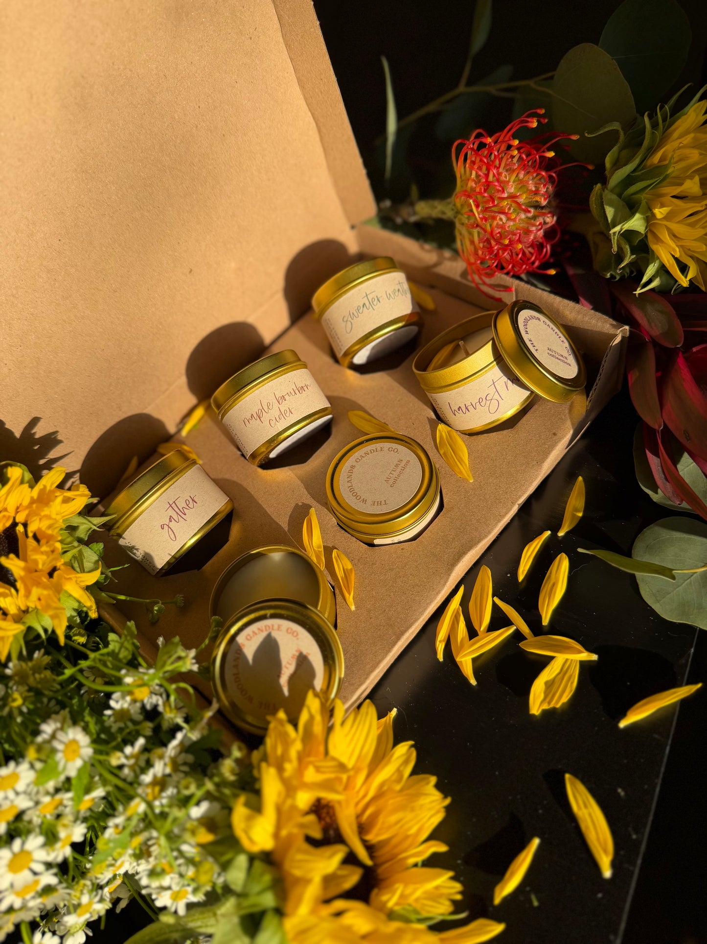 The Gathered Season Autumn Collection Discovery Box sampler 2026