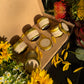 The Gathered Season Autumn Collection Discovery Box sampler 2026