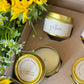 The Gathered Season Autumn Collection Discovery Box sampler 2026