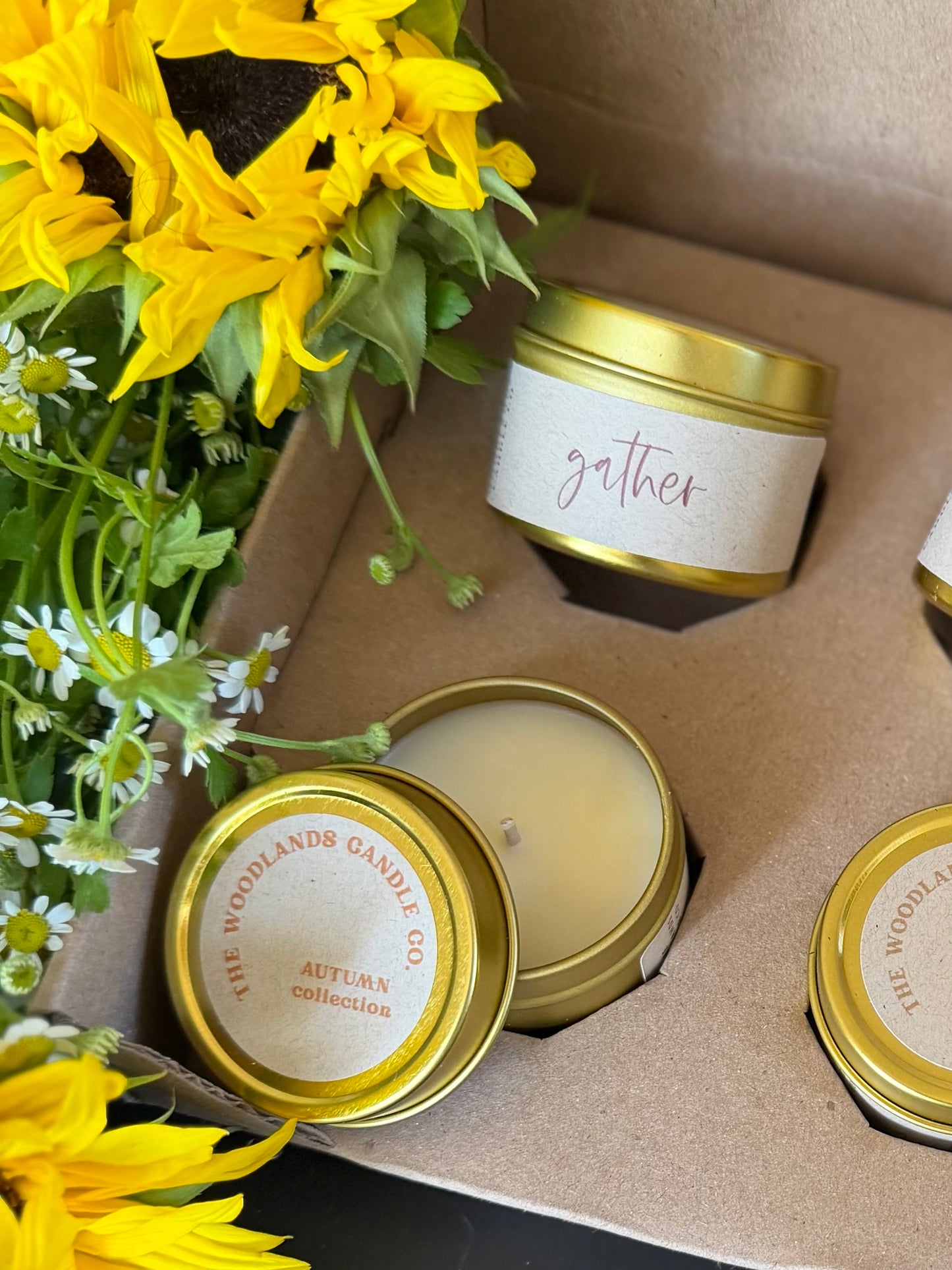 The Gathered Season Autumn Collection Discovery Box sampler 2026