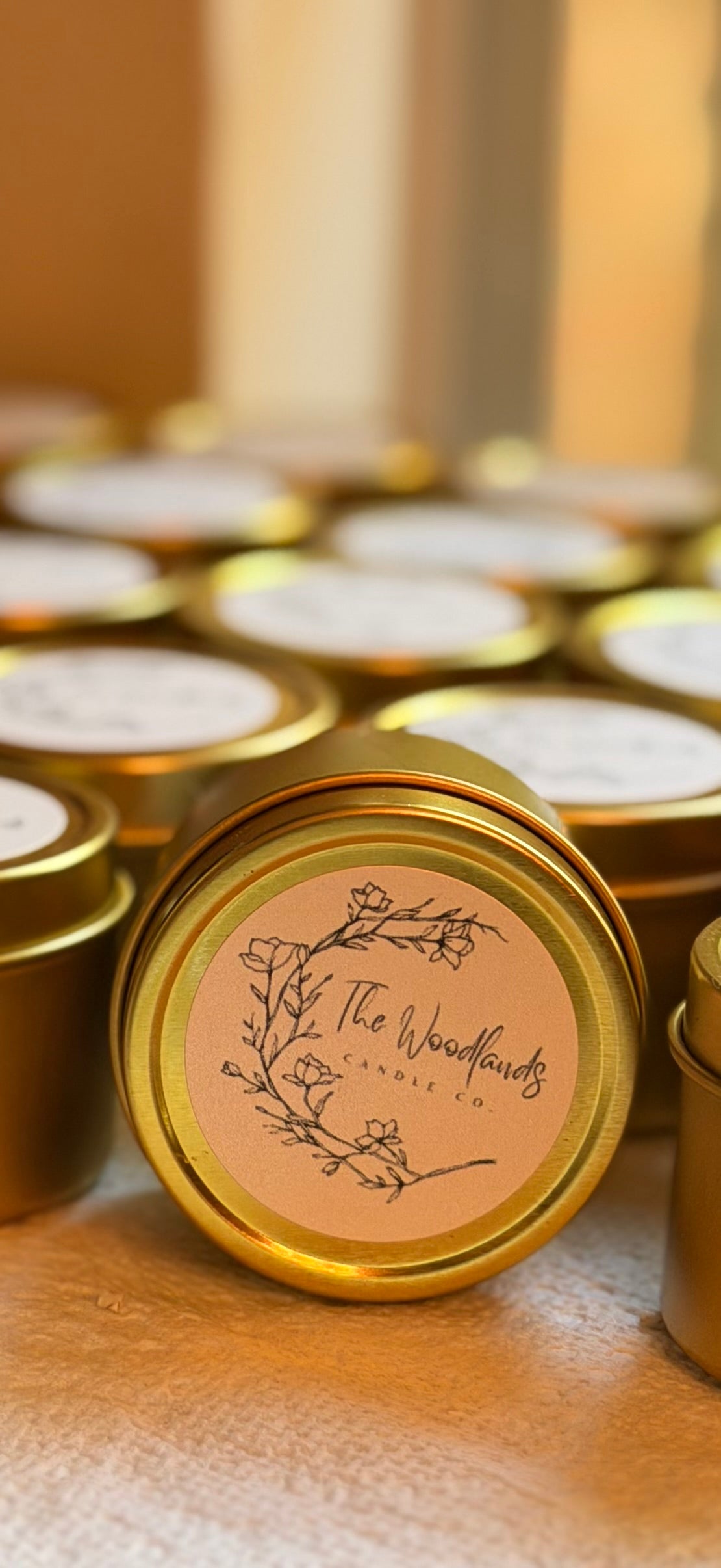 The Merry Little Christmas Discovery Box Sampler